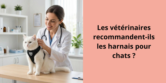 Les vétérinaires recommandent-ils les harnais pour chats ?