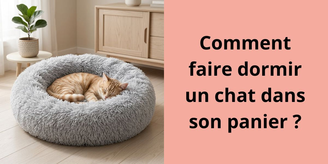 Chat roux endormi dans un panier pour chat moelleux gris, posé dans un coin calme du salon.