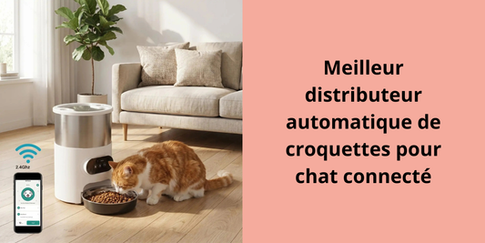 Meilleur distributeur automatique de croquettes pour chat connecté