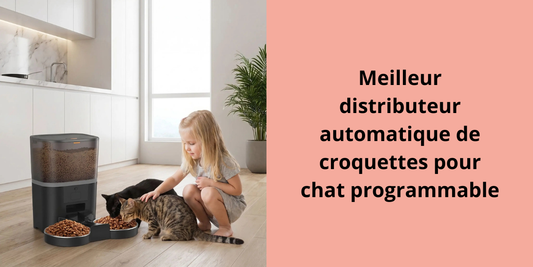 Meilleur distributeur automatique de croquettes pour chat programmable