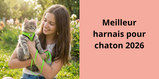 Meilleur harnais pour chaton 2026