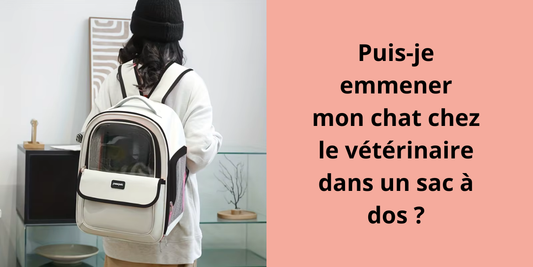 Puis-je emmener mon chat chez le vétérinaire dans un sac à dos ?