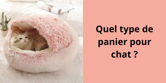 Quel type de panier pour chat ?