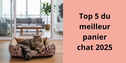 Top 5 du meilleur panier chat 2025