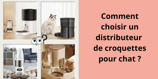 Comment choisir un distributeur de croquettes pour chat ? - Leschamour