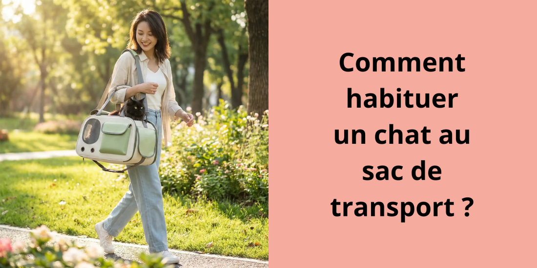 Comment habituer un chat au sac de transport ? - Leschamour