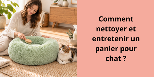 femme brossant un panier pour chat avec un chat