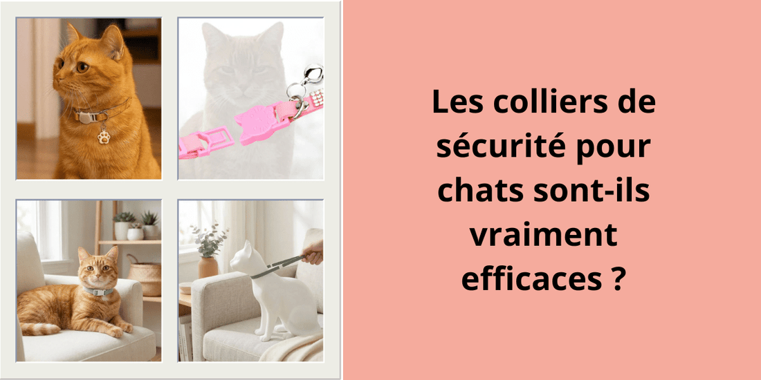 Les colliers de sécurité pour chats sont-ils vraiment efficaces ? - Leschamour