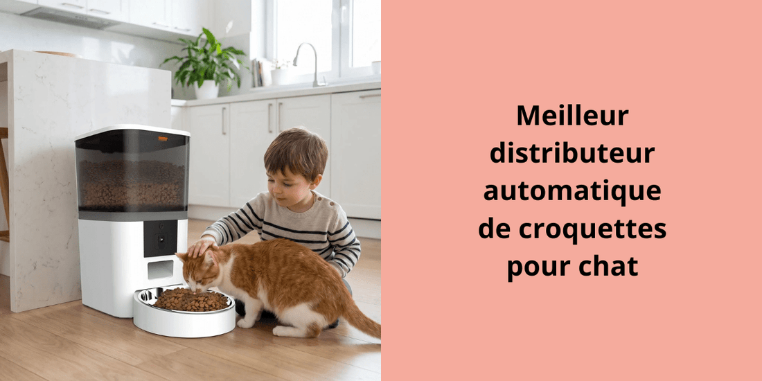 Meilleur distributeur automatique de croquettes pour chat - Leschamour