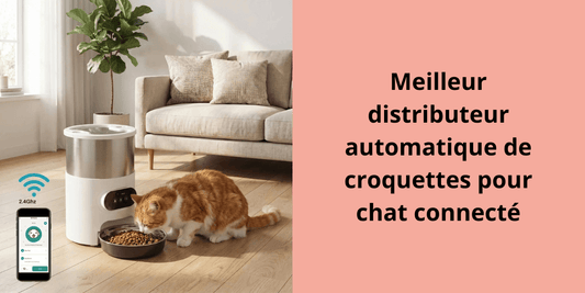 Meilleur distributeur automatique de croquettes pour chat connecté - Leschamour