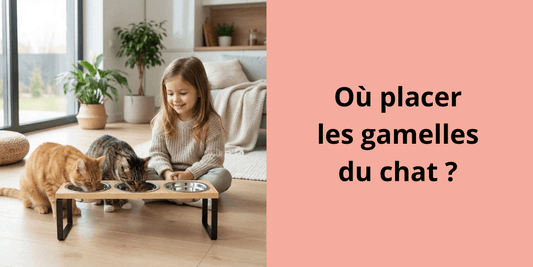 Où placer les gamelles du chat ? - Leschamour