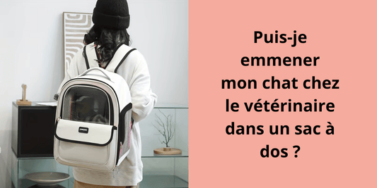 Puis-je emmener mon chat chez le vétérinaire dans un sac à dos ? - Leschamour