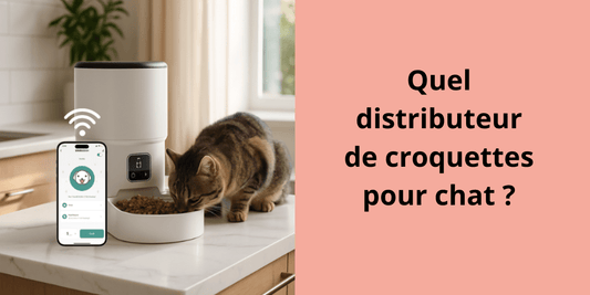 Quel distributeur de croquettes pour chat ? - Leschamour