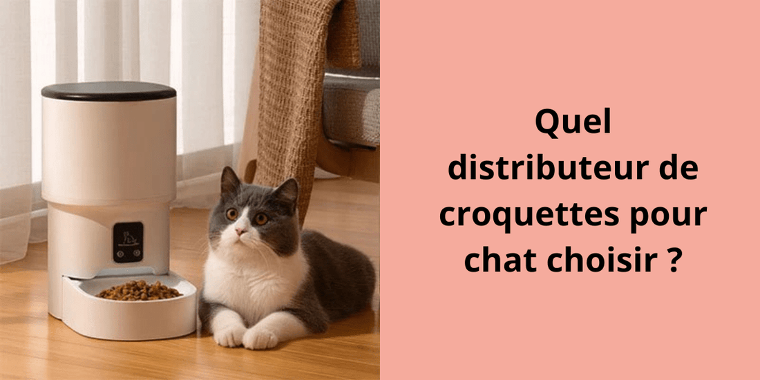 Quel distributeur de croquettes pour chat choisir ? - Leschamour