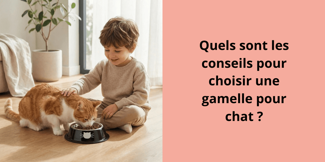 Quels sont les conseils pour choisir une gamelle pour chat ? - Leschamour