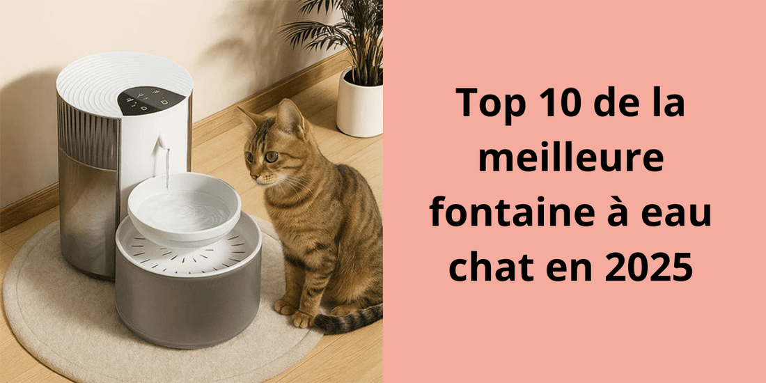TOP 10 DE LA MEILLEURE FONTAINE A EAU CHAT EN 2026 - Leschamour