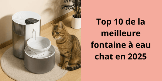 TOP 10 DE LA MEILLEURE FONTAINE A EAU CHAT EN 2026 - Leschamour