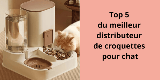 Top 5 du meilleur distributeur de croquettes pour chat - Leschamour