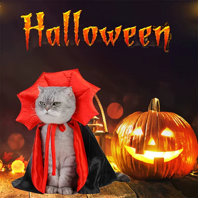 DÉGUISEMENT POUR CHAT
