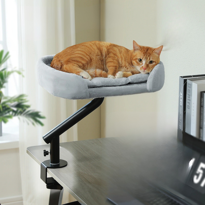 PANIER SUSPENDU POUR CHAT | ROTATIF 360