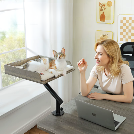 Panier pour chat suspendu rotatif en bois fixé sur bureau