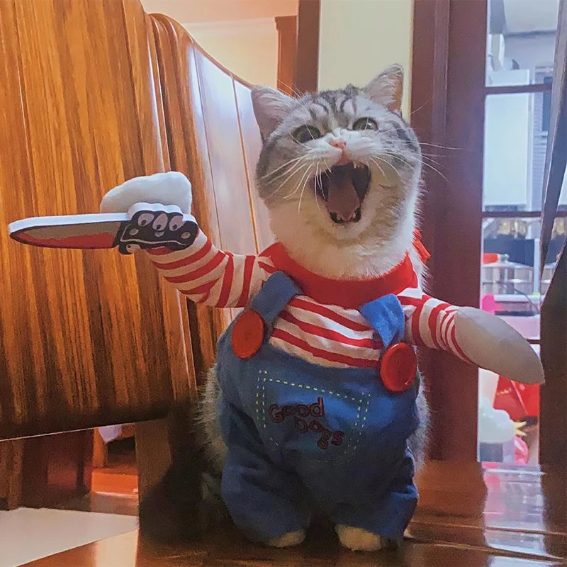 DÉGUISEMENT POUR CHAT HALLOWEEN | COUTEAU