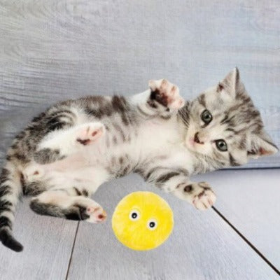 BALLE POUR CHAT SONORE | SMARTBALL™ - Leschamour