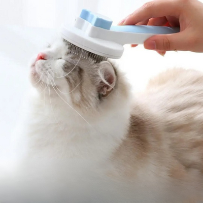 brosse-pour-chat-simba-clean-bleue