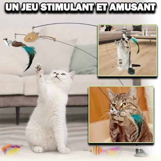 CANNE A PECHE CHAT | BIRDTOY™ - Leschamour