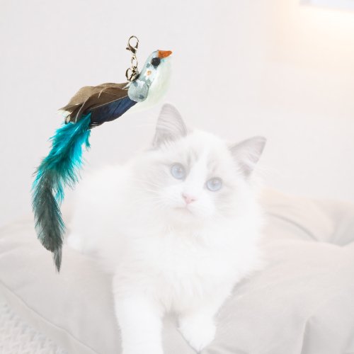 CANNE A PECHE CHAT | BIRDTOY™ - Leschamour