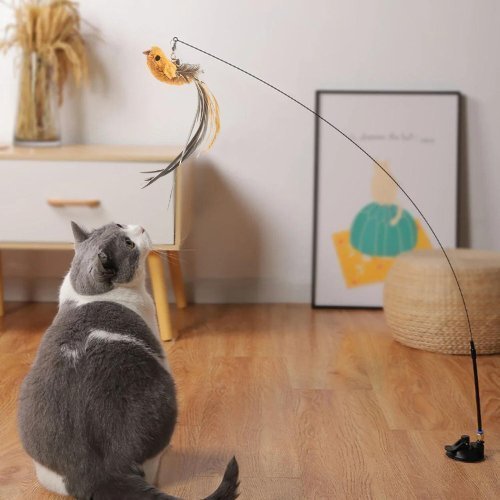 CANNE A PECHE CHAT | BIRDTOY™ - Leschamour