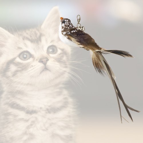 CANNE A PECHE CHAT | BIRDTOY™ - Leschamour