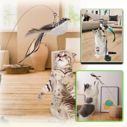 CANNE A PECHE CHAT | BIRDTOY™ - Leschamour