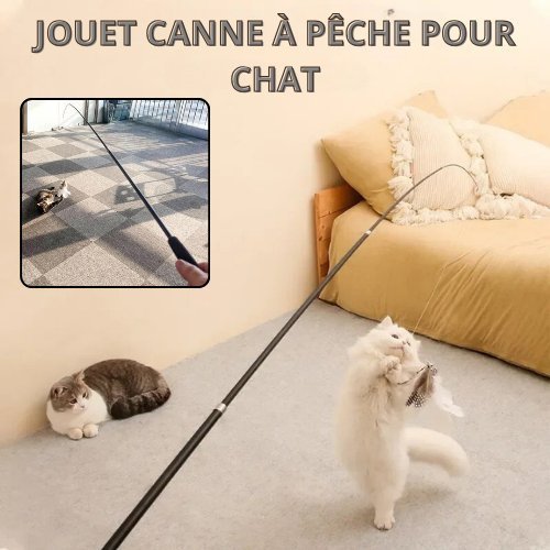 CANNE A PECHE CHAT | PLUMTOY™ - Leschamour