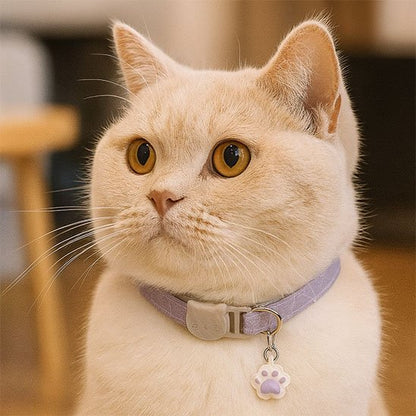 Collier anti étranglement chat avec médaille patte de chat violet