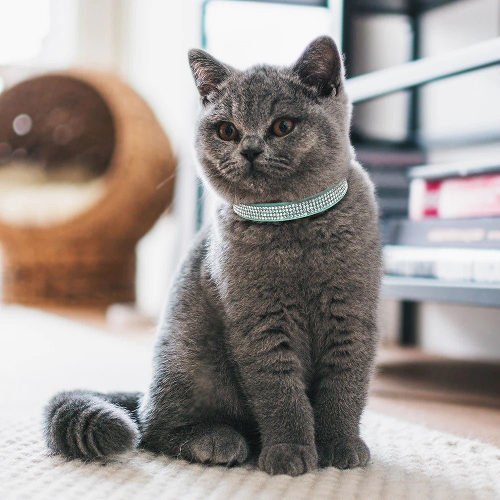 COLLIER ANTI ETRANGLEMENT POUR CHAT | LOVECAT™ - Leschamour