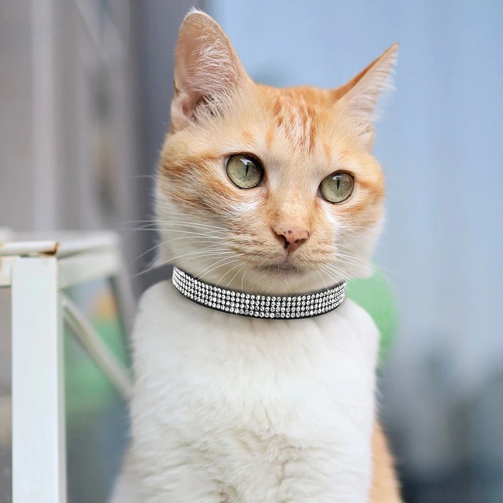 COLLIER ANTI ETRANGLEMENT POUR CHAT | LOVECAT™ - Leschamour