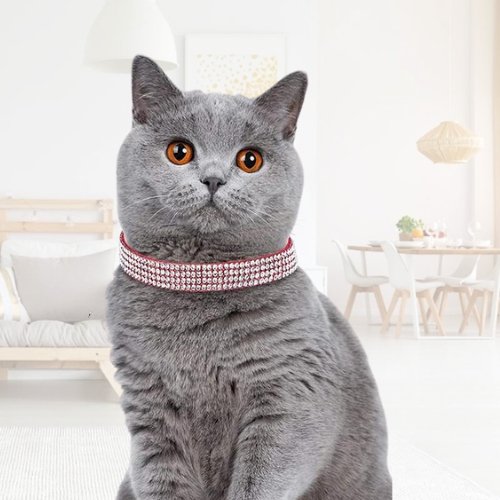 COLLIER ANTI ETRANGLEMENT POUR CHAT | LOVECAT™ - Leschamour