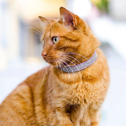 COLLIER ANTI ETRANGLEMENT POUR CHATON | STRASSCAT™ - Leschamour