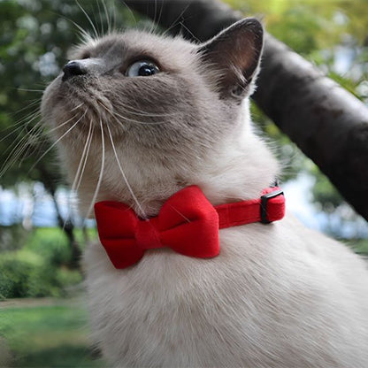 Collier chat anti étranglement en velours avec nœud papillon clochette