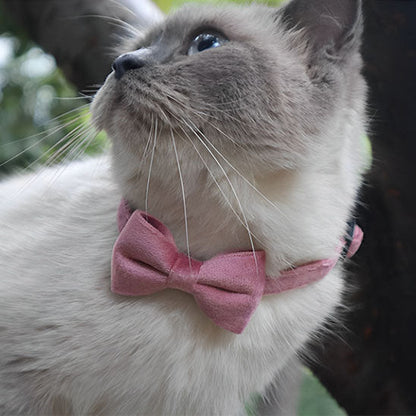 COLLIER CHAT ANTI ETRANGLEMENT | EN VELOURS ROSE - Leschamour