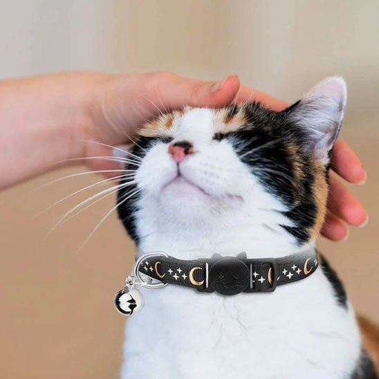 COLLIER CHAT ANTI ÉTRANGLEMENT | ÉTOILES ET LUNES - Leschamour