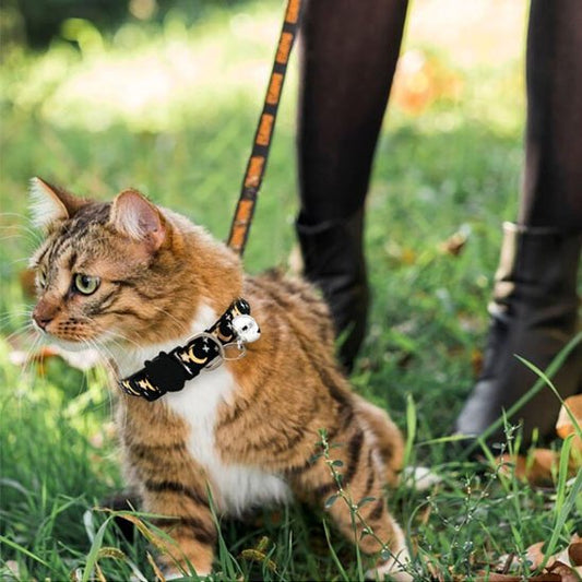 Collier chat anti étranglement étoiles et lunes noir