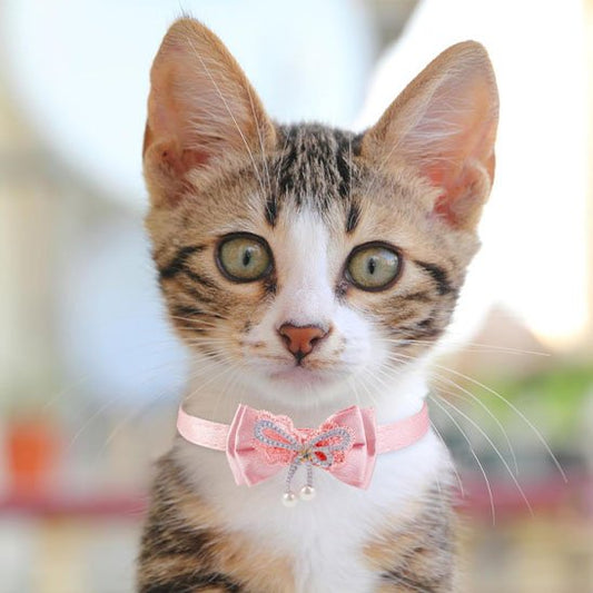 Collier chat anti étranglement nœud papillon rose dentelle