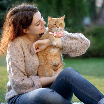 Collier chat anti étranglement nœud papillon rose promenade