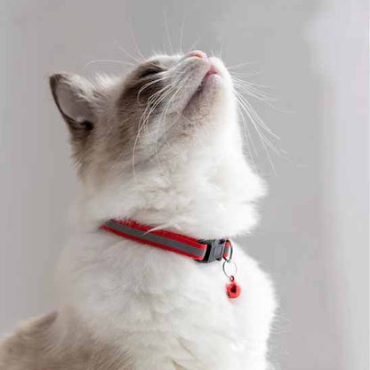 COLLIER CHAT ANTI ÉTRANGLEMENT | RÉFLÉCHISSANT - Leschamour