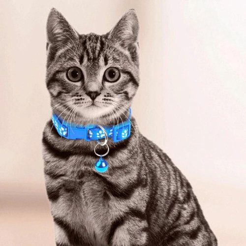 collier chat avec clochette bleu