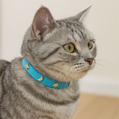 Collier chat cuir étoiles et lunes bleu