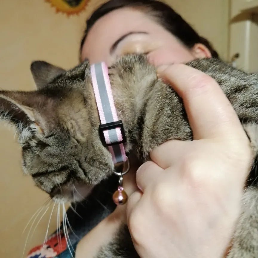 COLLIER CHAT RÉFLÉCHISSANT | CATBELL™ - Leschamour