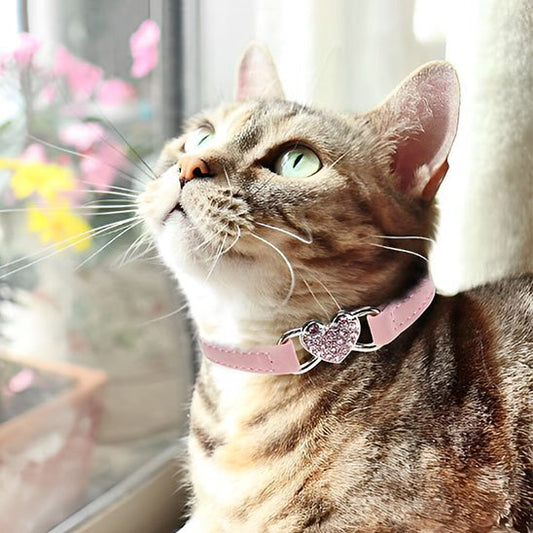 COLLIER CHAT ROSE | ÉLASTIQUE AVEC CŒUR - Leschamour